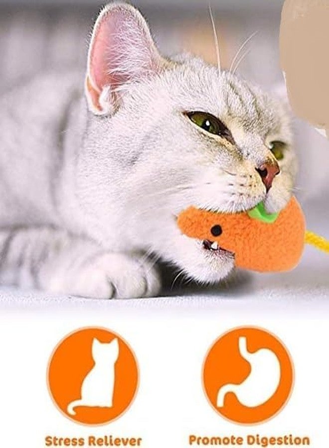 D&C PAWS لعبة فأر D&C PAWS - لعبة تفاعلية مبتكرة للقطط، لعبة فأر واقعية لطيفة، فئران محشوة بالبوليستر للقطط (مجموعة من 3 قطع) - Image 3